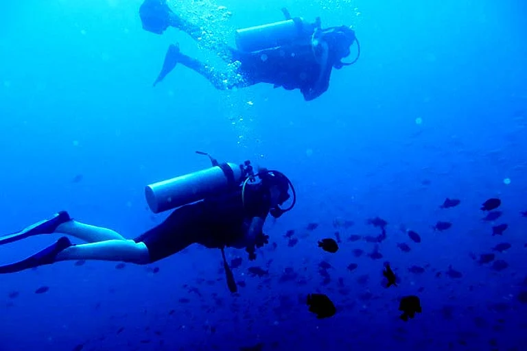 Underwater in the Bay of Bengal - null