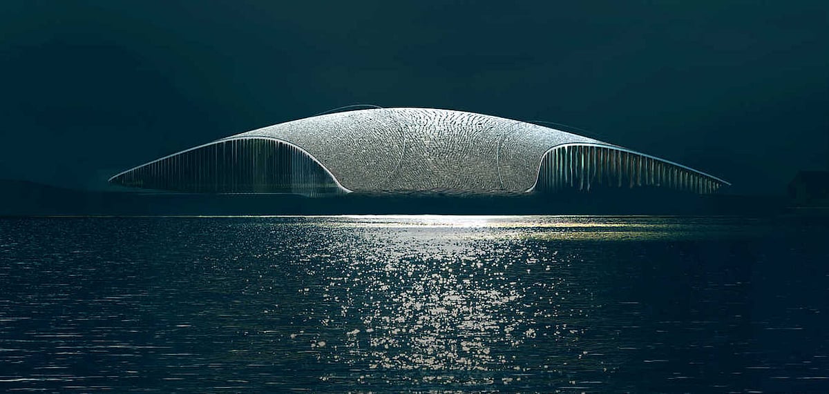 Artists depiction of The Whales shimmering facade