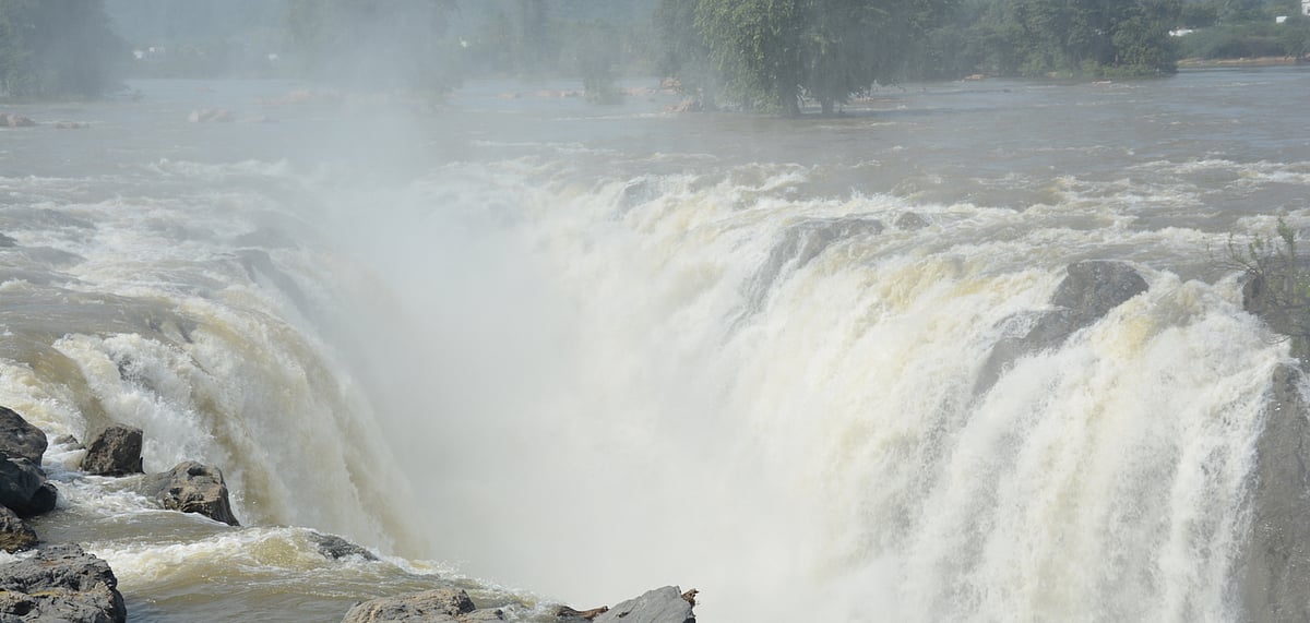 Take a coracle ride through the river here