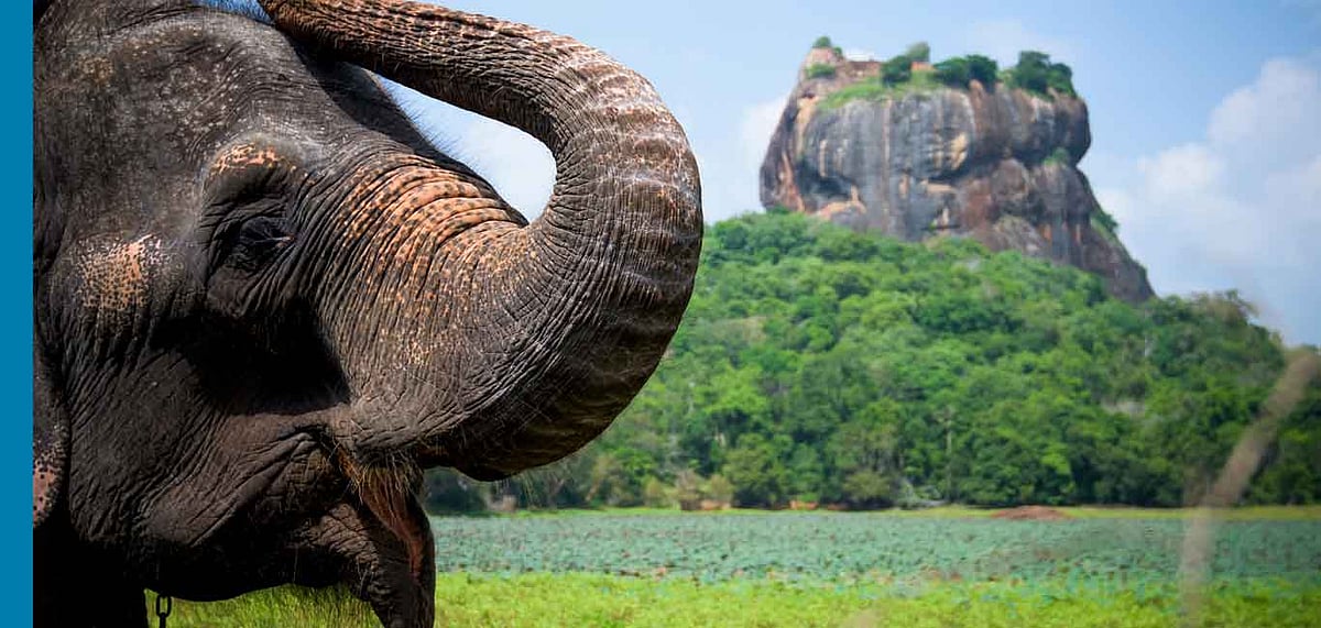 Abiding Images from Sri Lanka