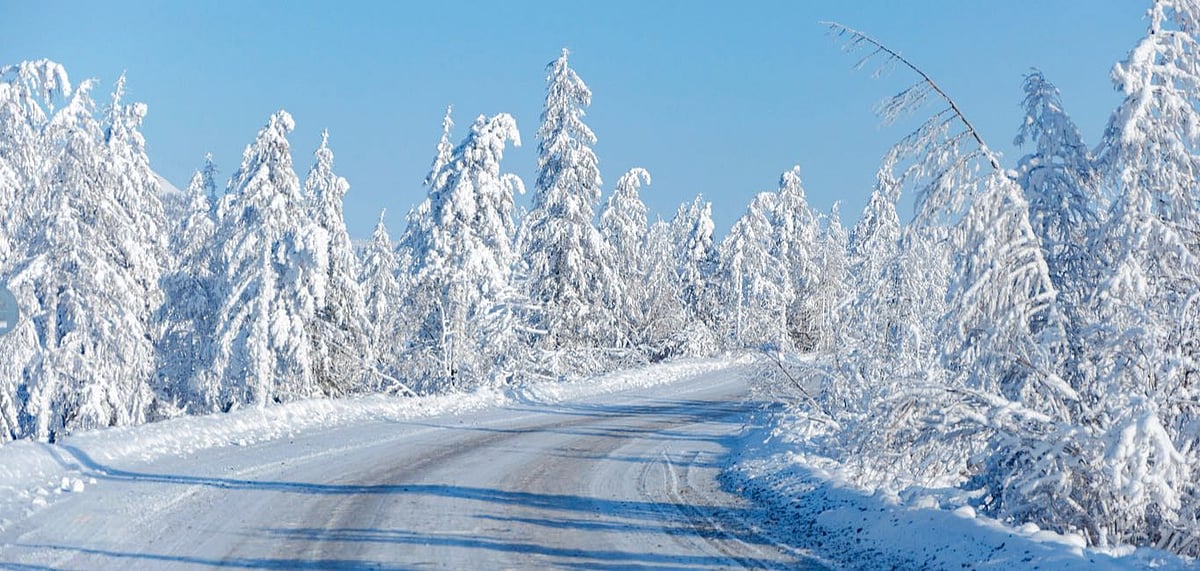 A scenic winter landscape