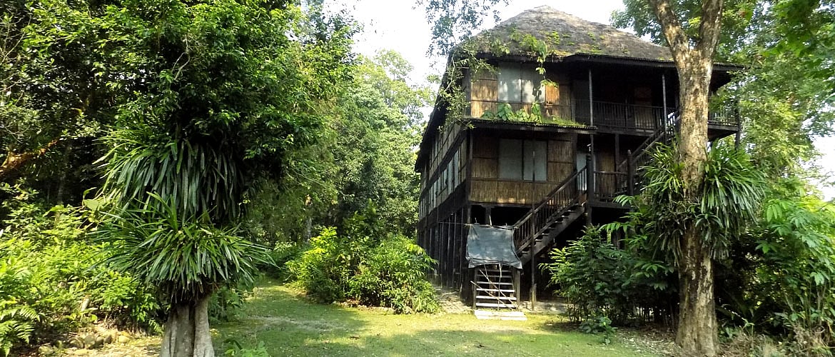 Nepal Chitwans Forest Resorts To Return