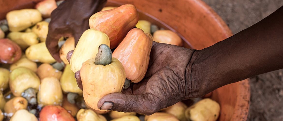 Goa Cashew Trail by Park Hyatt Goa Resort and Spa 