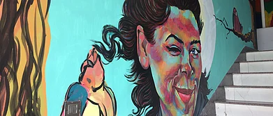 McLeodganj Pink House