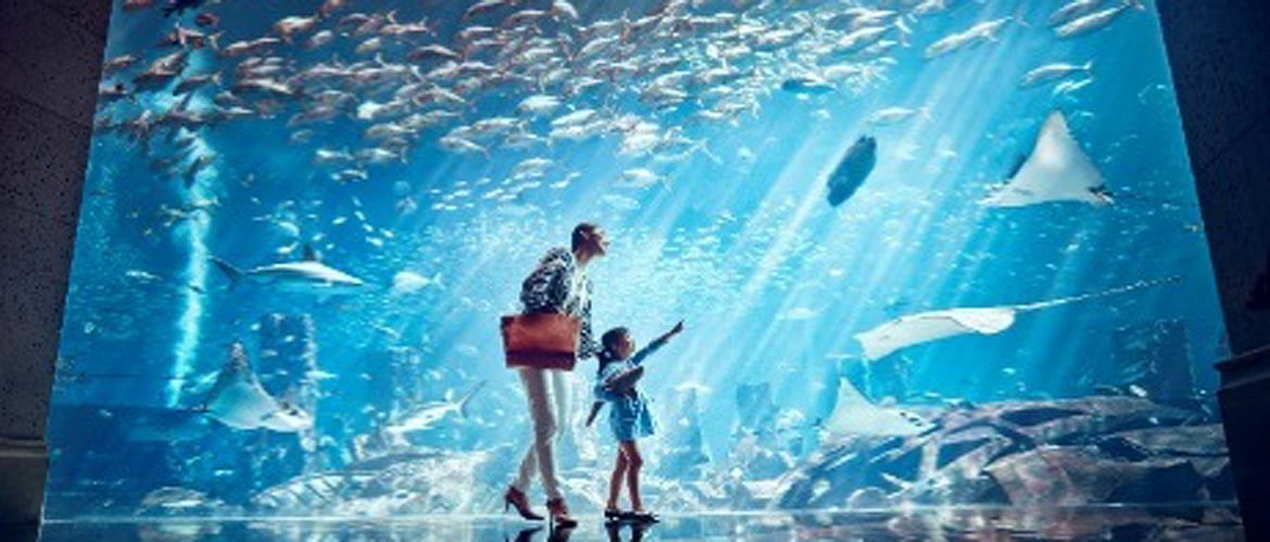See the underwater world at Atlantis Sanya