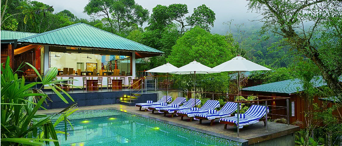 Spices and Stilts in Thekkady