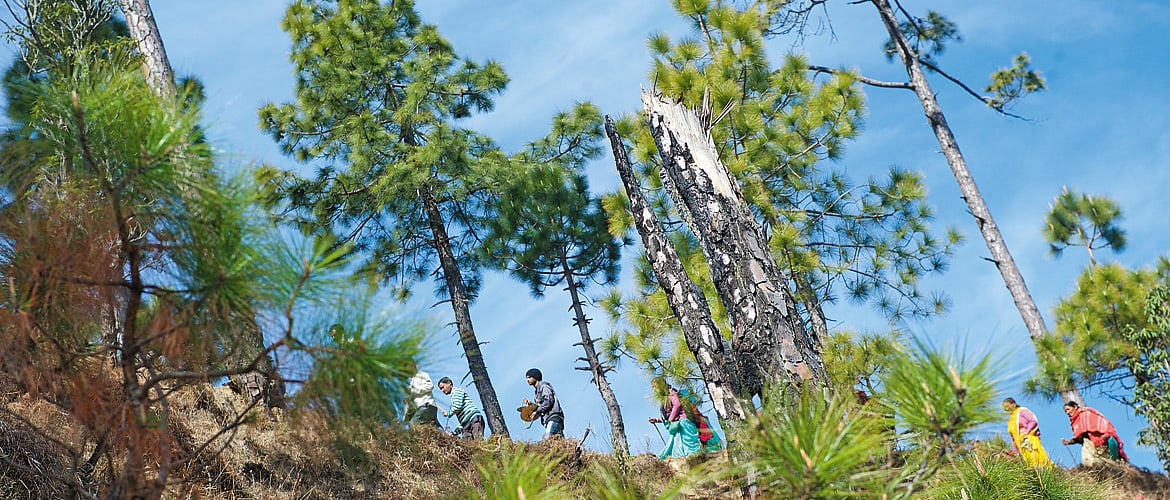 A procession of villagers on the walk to the Jageshwar temples
