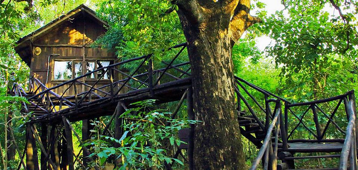 A picture of the Tree House Hideaway near the Bandhavgarh National Park