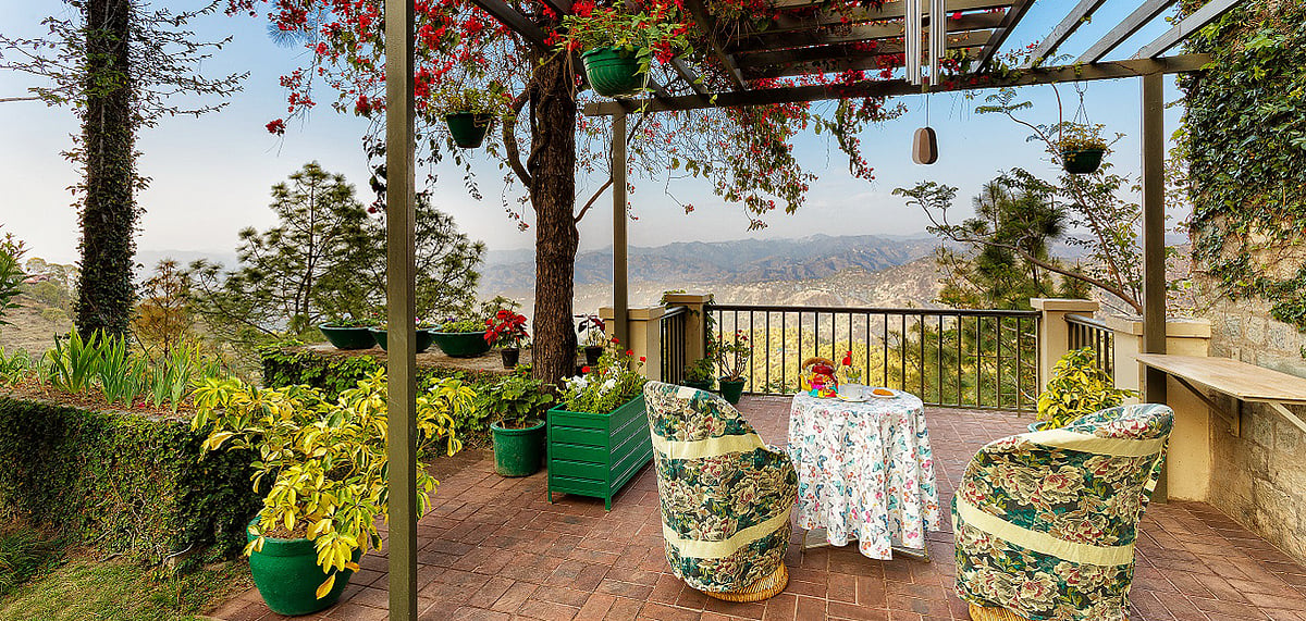 Shimla, at a distance, looks pretty from the flowery lawns of 7 Pines Kasauli 