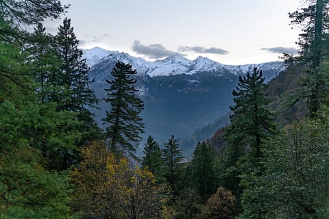 Travel disruptions and regional tensions have significantly reduced Israeli tourist arrivals to Himachal Pradesh this season