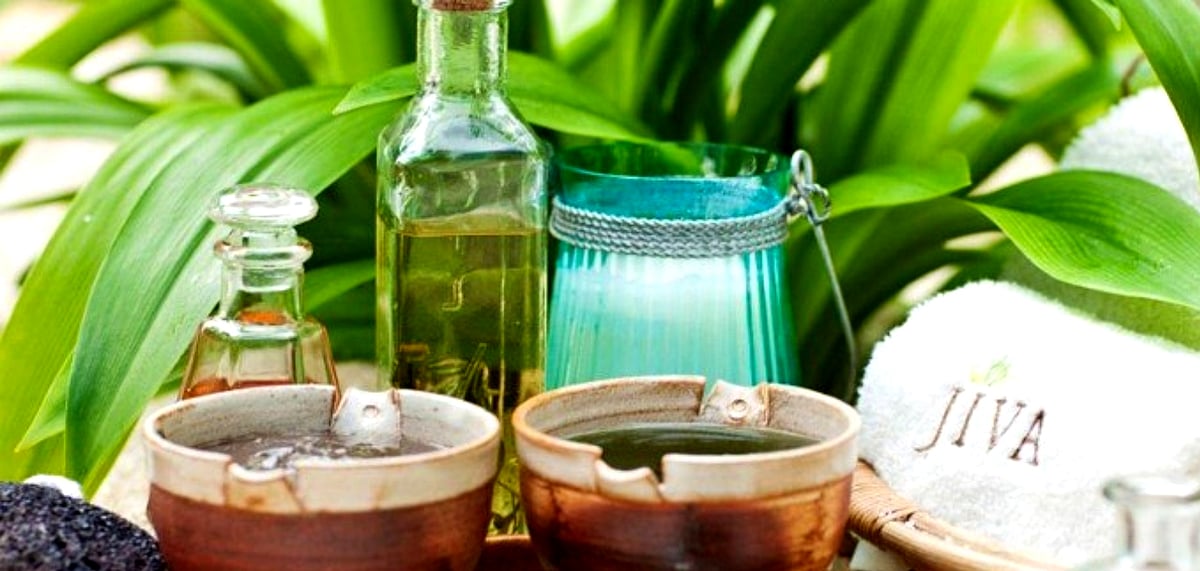 Taj Wellness retreats combine holistic healing techniques with serene locations 