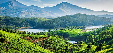 Karnataka An Earthy Homestay Outside Bengaluru