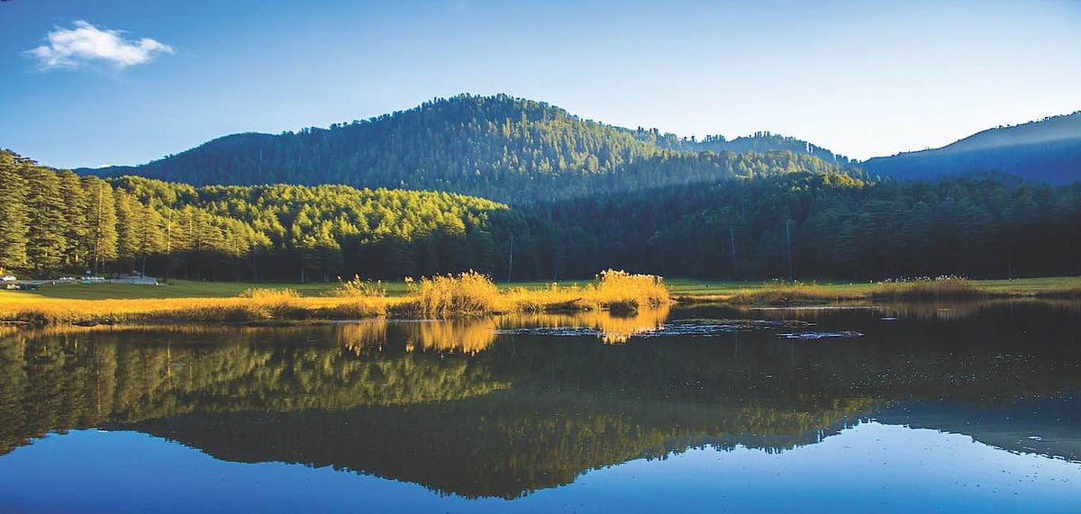 The scenic Khajjiar valley is a short distance away from the property