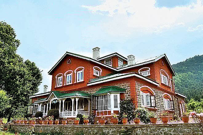 Return of the native