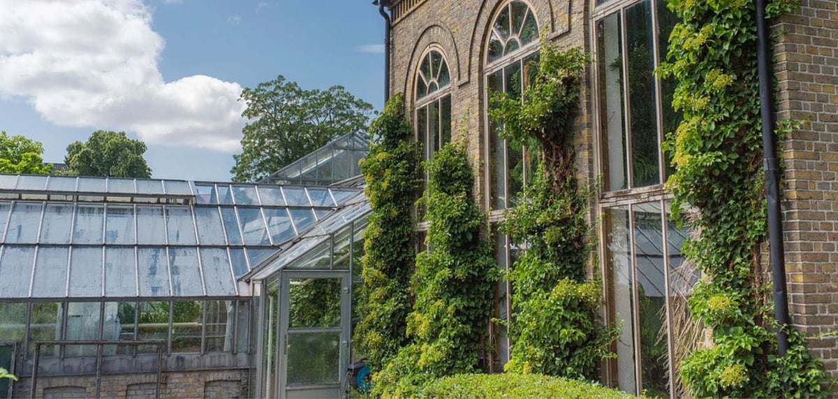 Representative image, Photo Credit Shutterstock