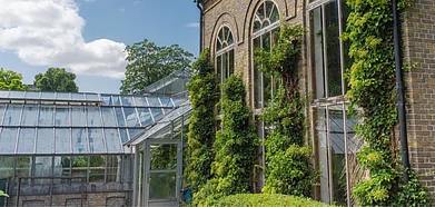 Representative image, Photo Credit Shutterstock