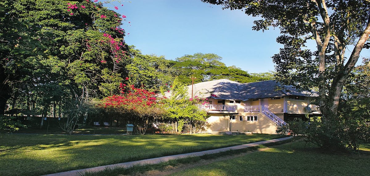 The sprawling garden in front of the property