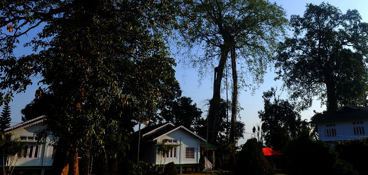 Cottages at the Golden Pagoda Eco Resort 