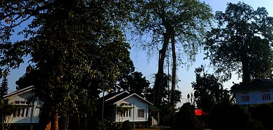 Cottages at the Golden Pagoda Eco Resort