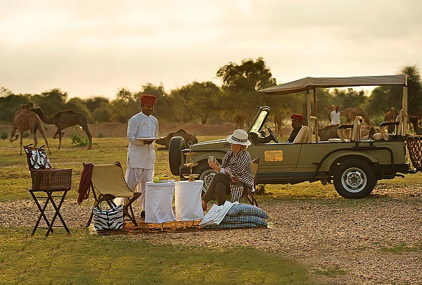 Ring in the new year at an eco-friendly resort in India