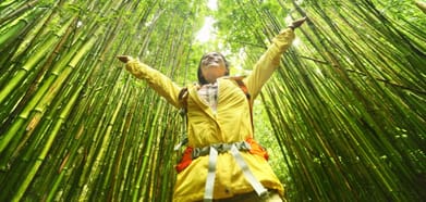 Shutterstock : Five books on sustainable yravel to better your understanding