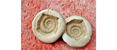 Himachal Pradesh Reviving Relics