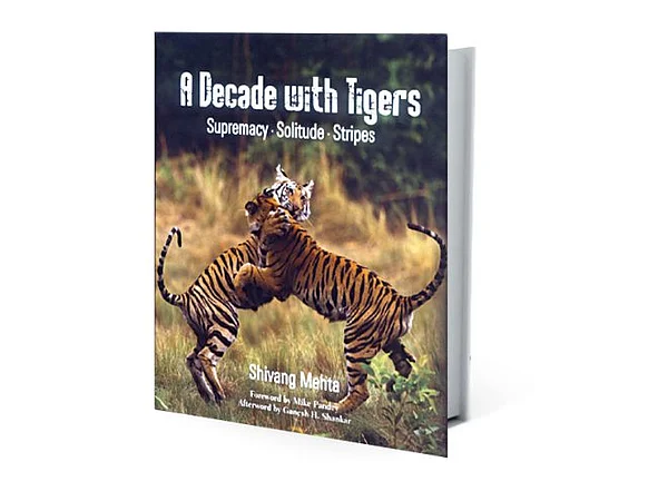 Book Review A Decade with Tigers