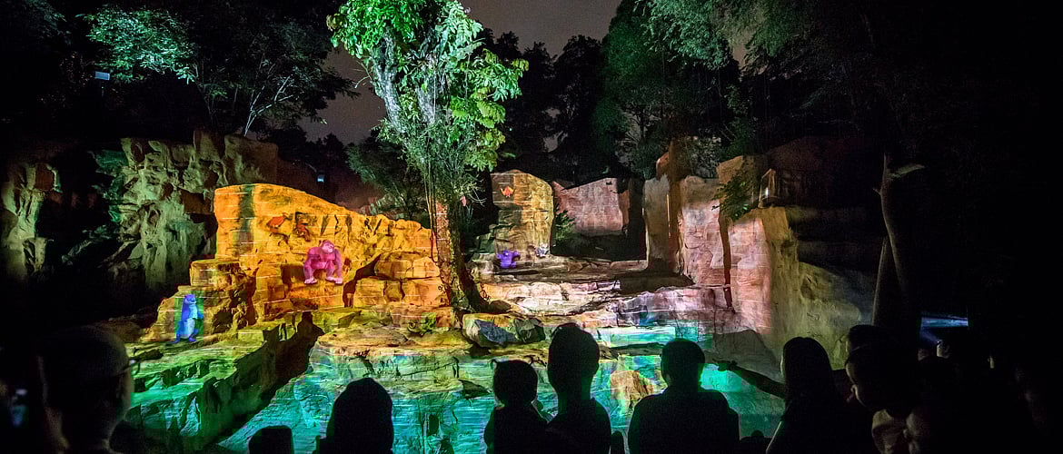 One of the many displays at the festival