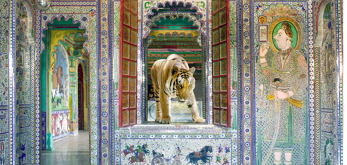 A photograph from Karen Knorrs India Songs series titled Shakti, taken in Sheesh Mahal, Dungarpurs Juna Mahal in 2013 and Banerghatta National Park 