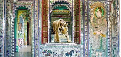 A photograph from Karen Knorrs India Songs series titled Shakti, taken in Sheesh Mahal, Dungarpurs Juna Mahal in 2013 and Banerghatta National Park