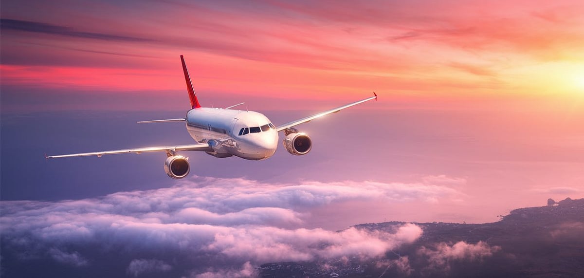 Representative Image No decision to resume flights has been taken yet