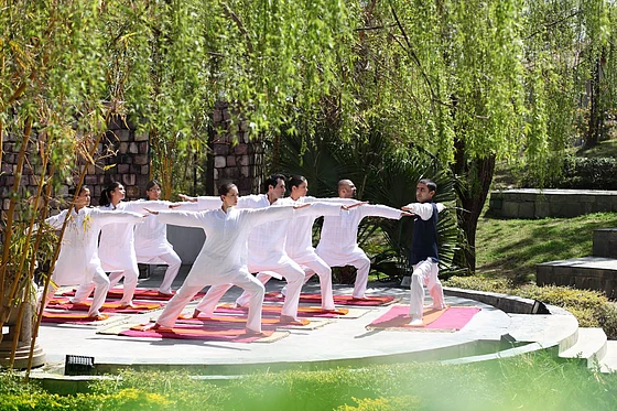 Where Wellness Becomes a Way of Stay: India’s Hotels Beyond the Spa ...