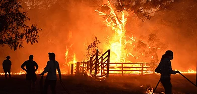 The Australian bushfire has engulfed many areas