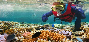 Discover the Great Barrier Reef in a whole new experience with scUber
