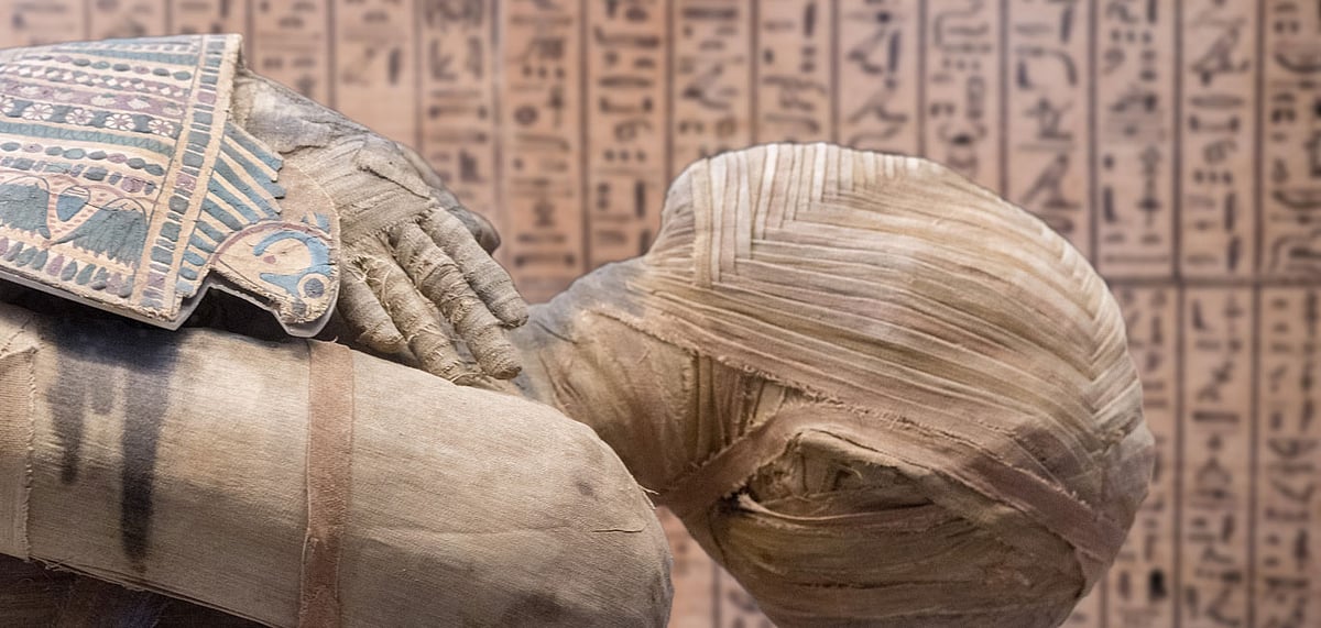 Egyptian mummy close up detail with hieroglyphs background
