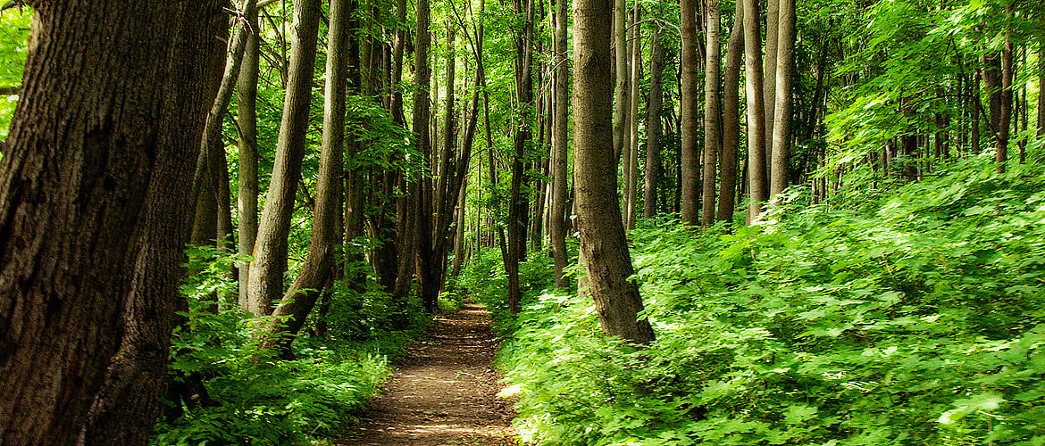 5 Wildlife Movies You Cant Miss