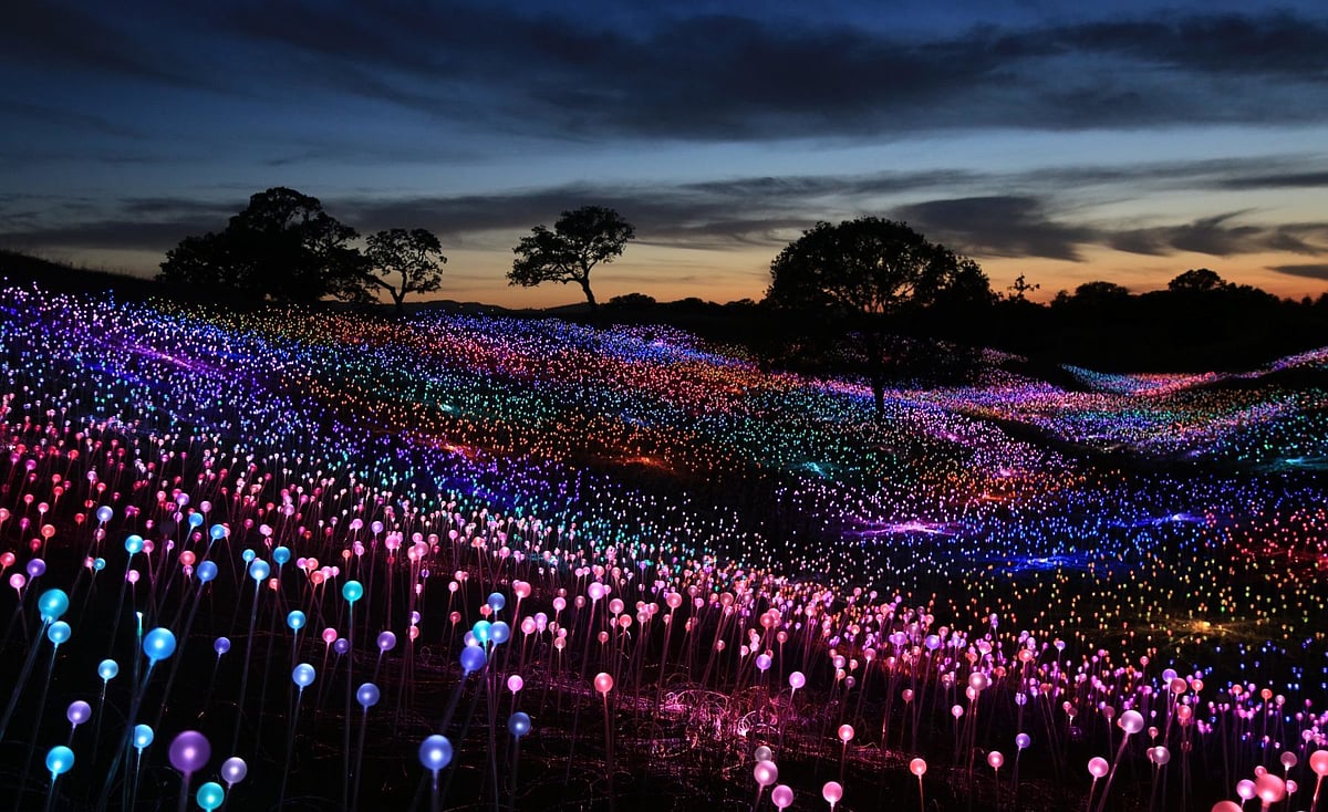 Field of Light