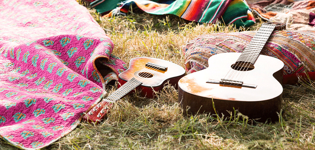 Go green at Indias greenest music festival (Representative Image)