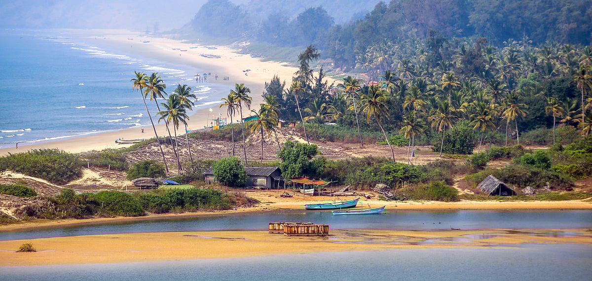 Single-use plastics can damage the beaches in Goa, and cause much harm to marine life