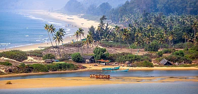 Single-use plastics can damage the beaches in Goa, and cause much harm to marine life