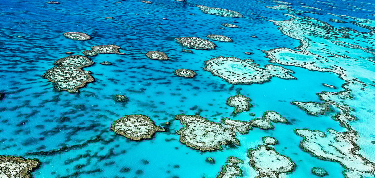 The Great Barrier Reef, Australia 