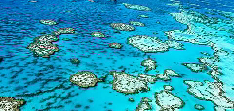 The Great Barrier Reef, Australia 