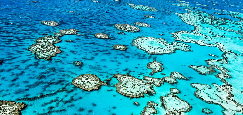 The Great Barrier Reef, Australia