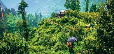 Shutterstock : Himachal Pradesh is a popular destination for travellers