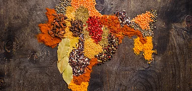 Check out displays explaining how food was collected since the Mesolothic era