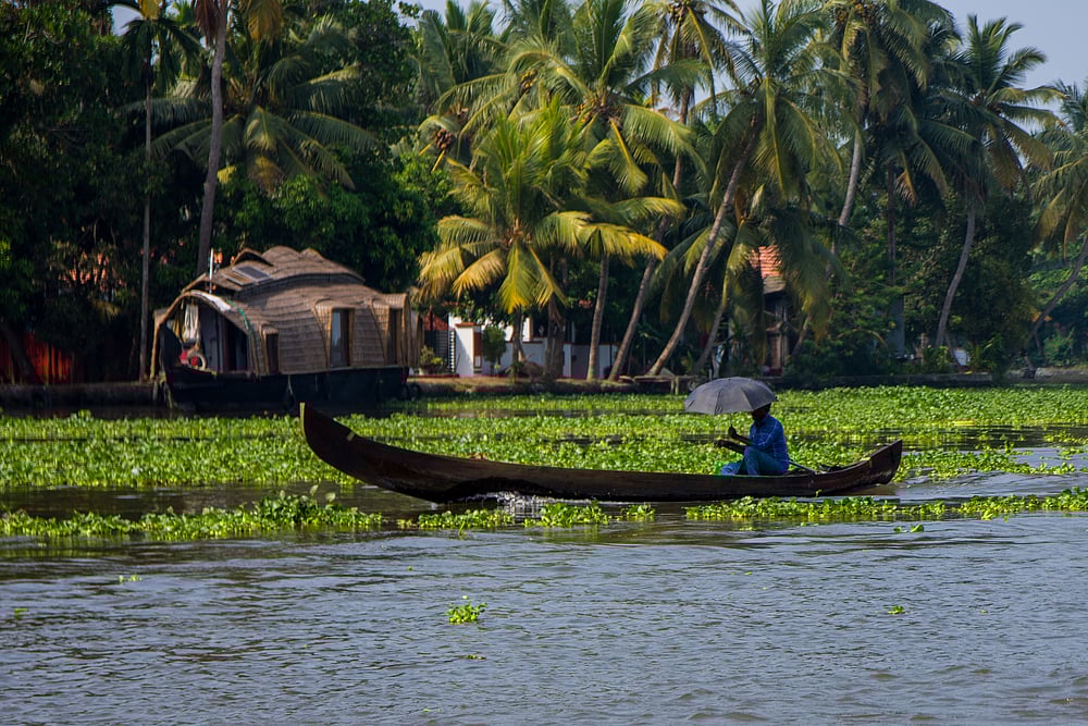 Backwaters in Kumarakom, Kerala