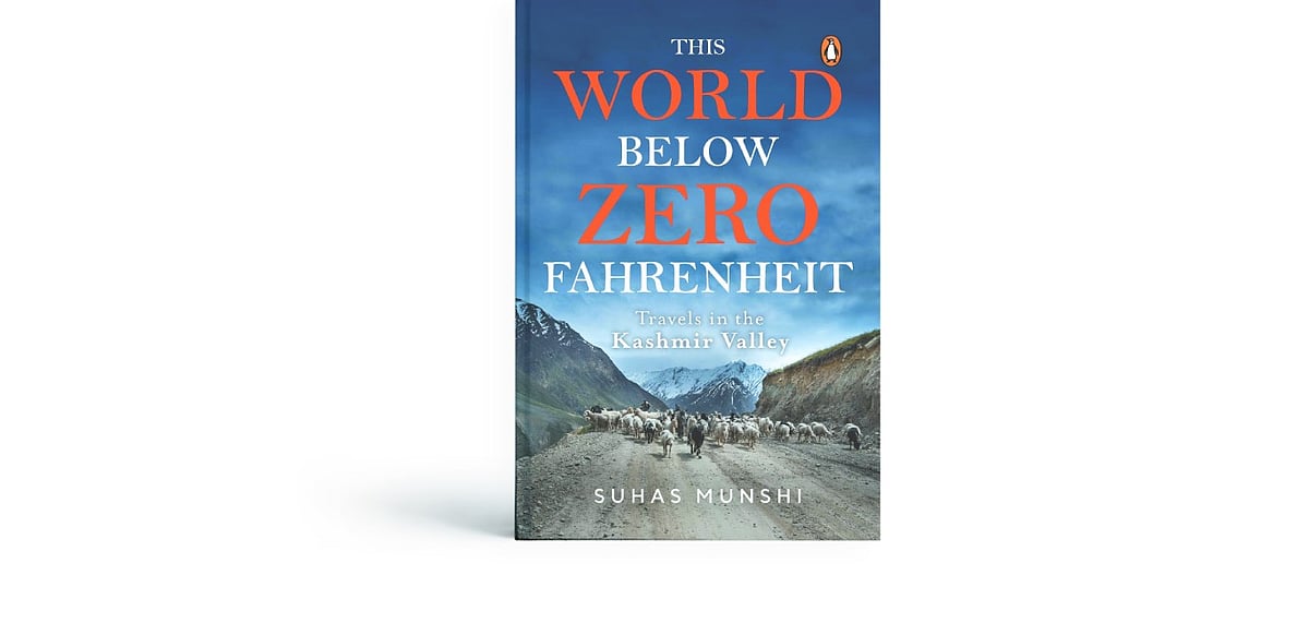 The book cover of the World Below Zero Fahrenheit 