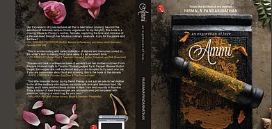 The book cover