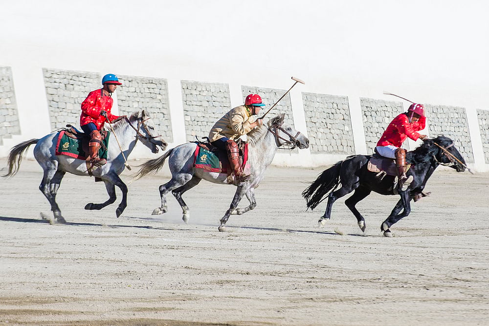 All About The Ladakh Polo Festival 2023