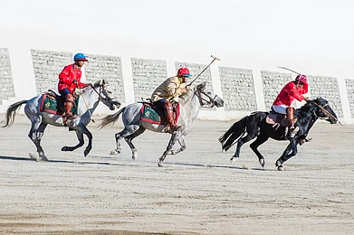 All About The Ladakh Polo Festival 2023